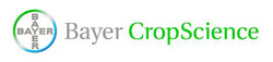 bayer